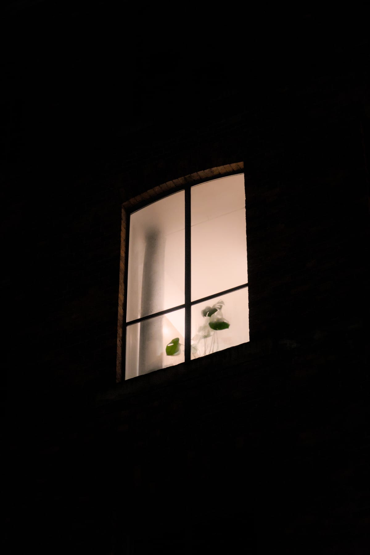 The Window